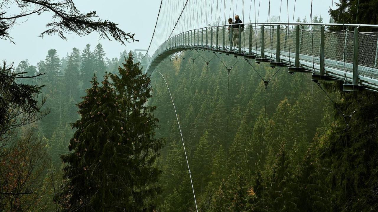 Ferienwohnung Nina Direkt In Zentrum Bad Wildbad Luaran gambar