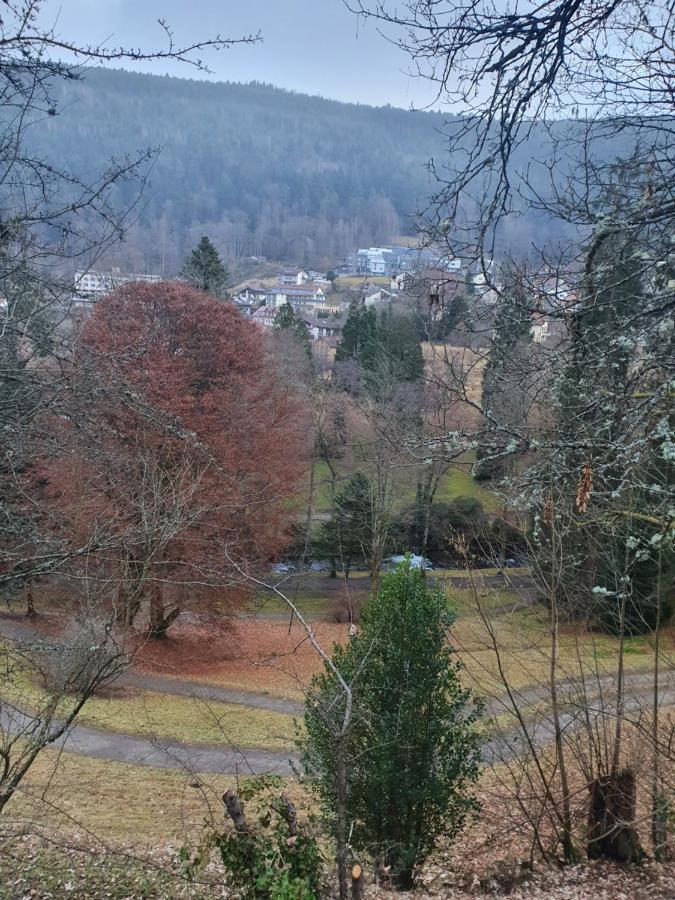 Ferienwohnung Nina Direkt In Zentrum Bad Wildbad Luaran gambar