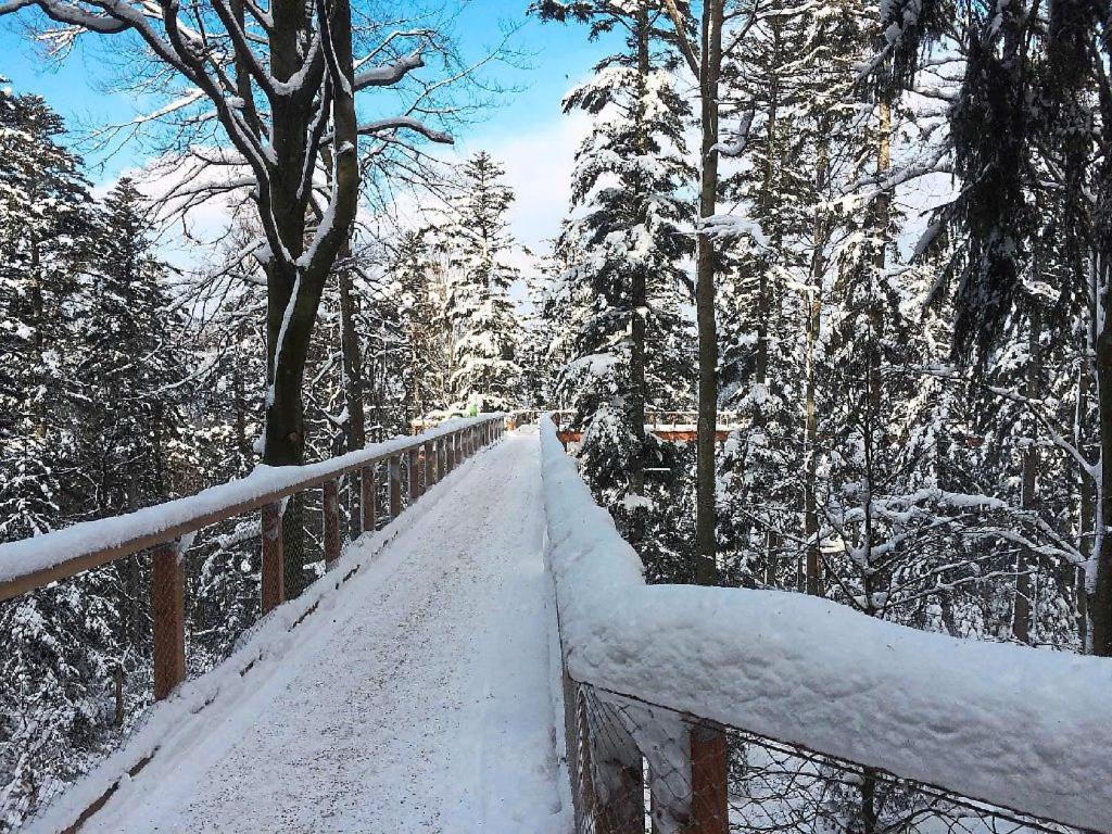 Ferienwohnung Nina Direkt In Zentrum Bad Wildbad Luaran gambar